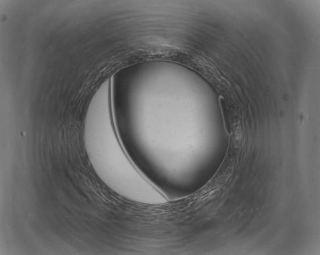 X0000085300916200703091115