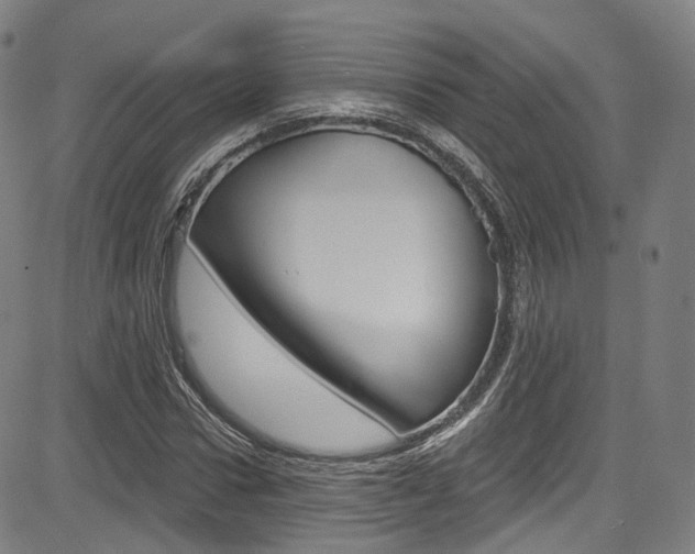 X0000085300922200703091116