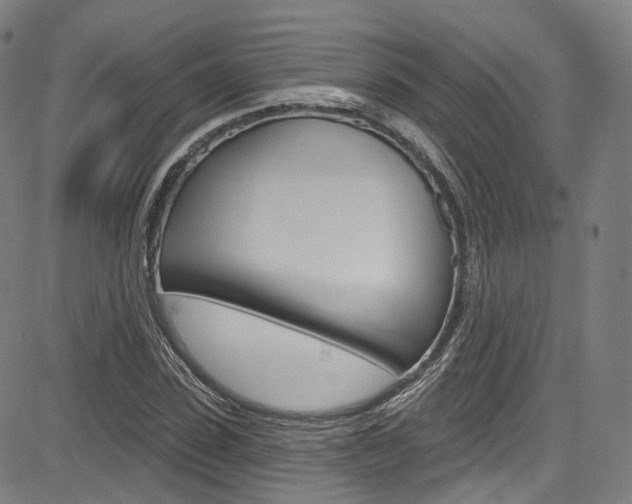 X0000085300923200703091116