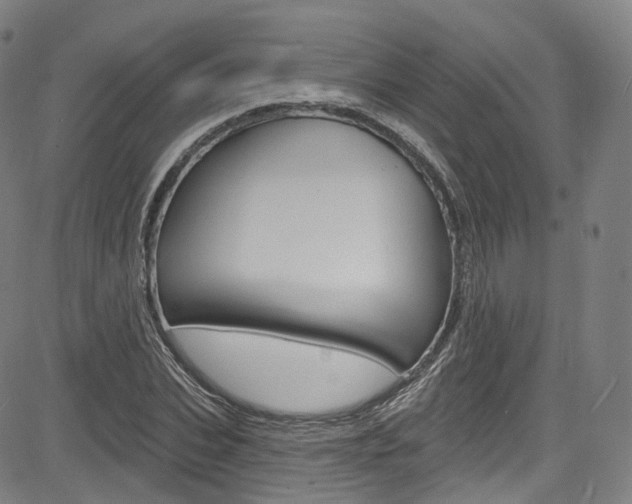X0000085300927200703091116