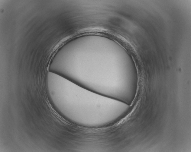 X0000085300929200703091116