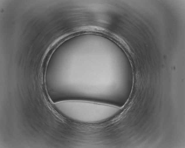 X0000085300931200703091116