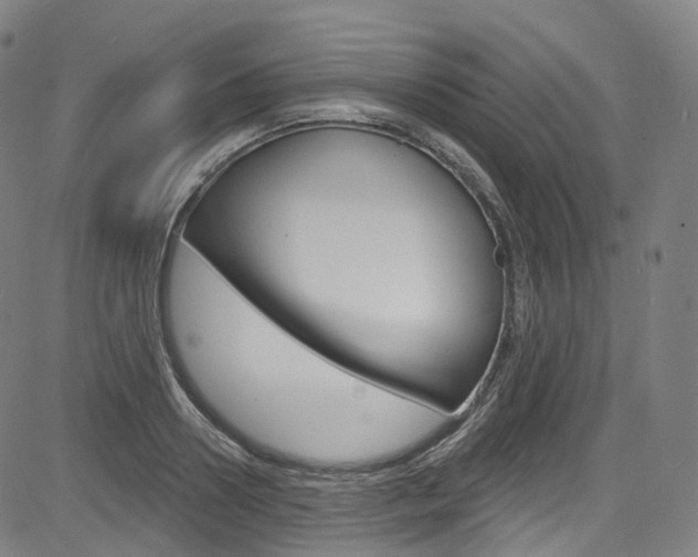 X0000085300938200703091116