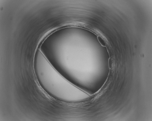 X0000085300940200703091116