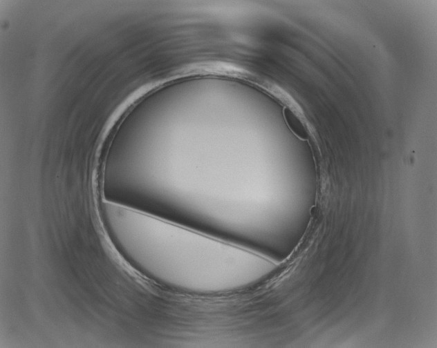 X0000085300947200703091116