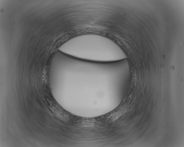 X0000085300964200703091115