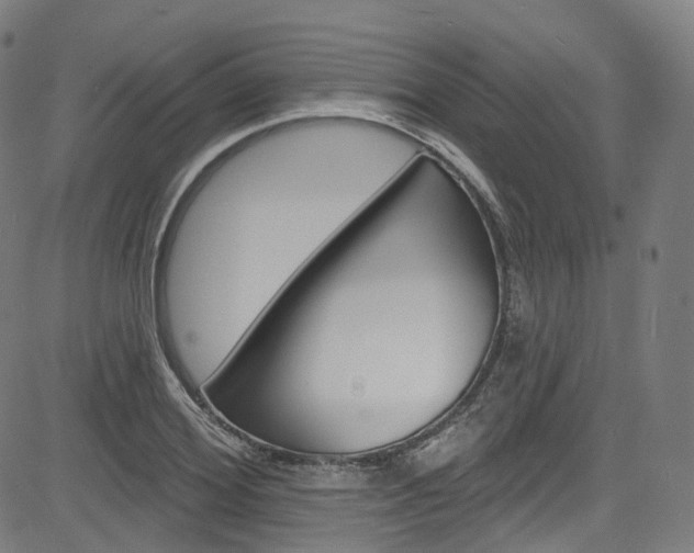 X0000085300980200703091115