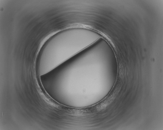 X0000085300987200703091115