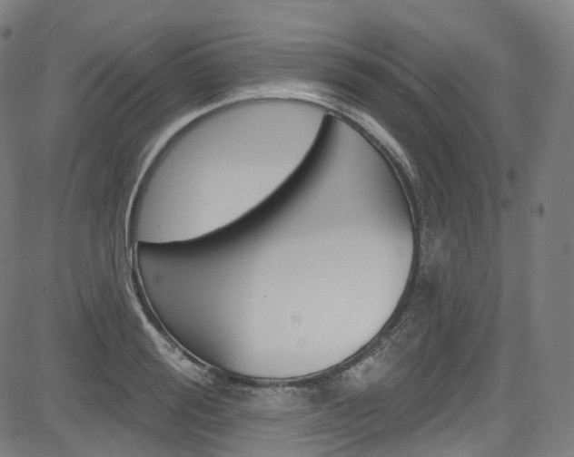 X0000085300988200703091115