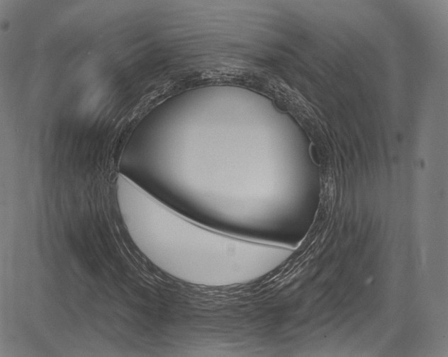 X0000085301012200703091114