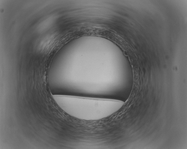 X0000085301013200703091114