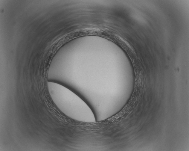 X0000085301015200703091114
