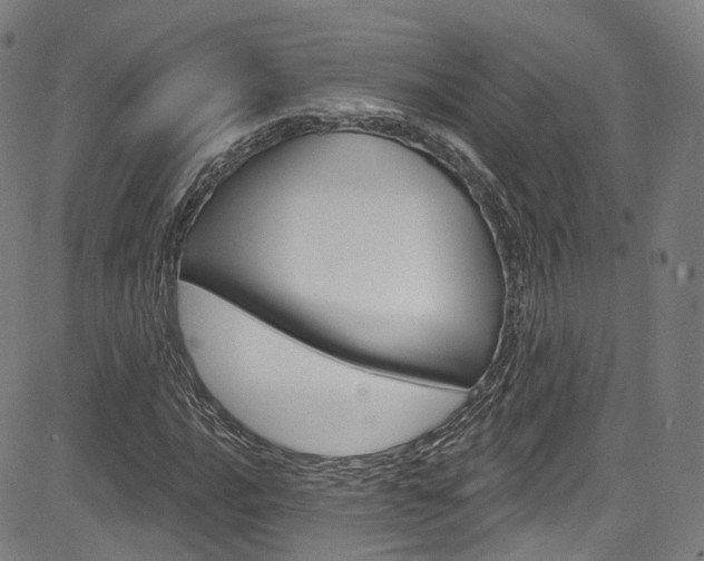 X0000085301016200703091114
