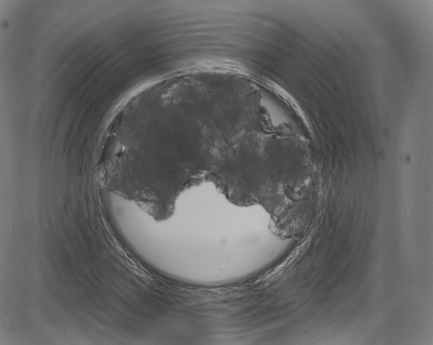 X0000085301019200703091114