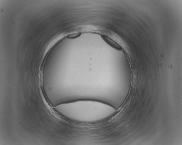 X0000085301047200703091114