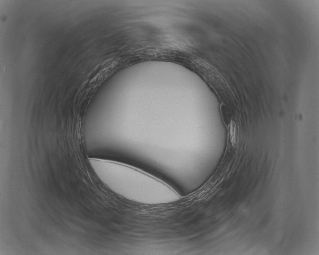 X0000085301107200703091112