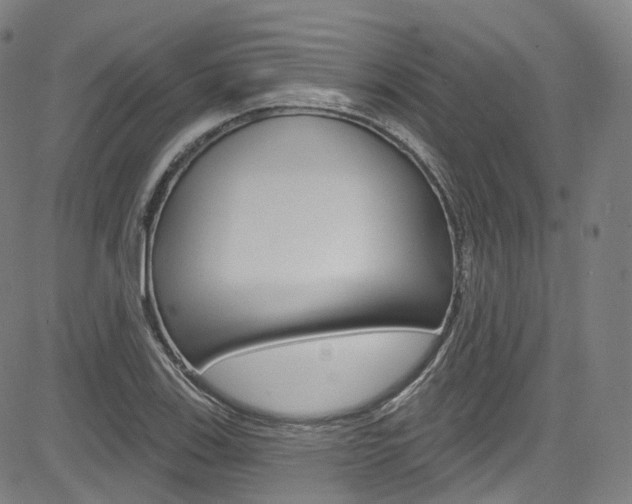 X0000085301123200703091113