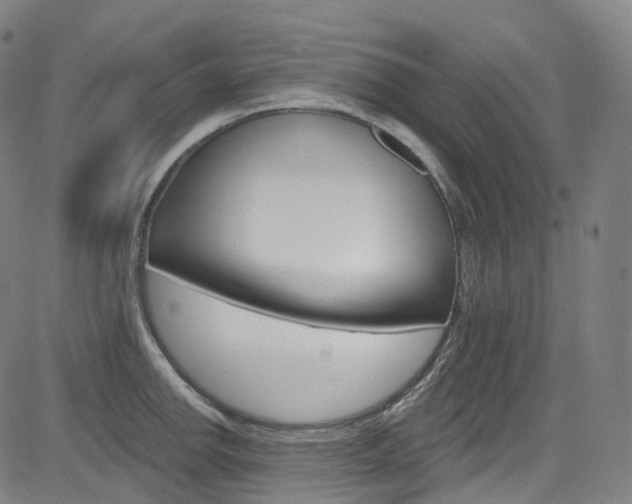 X0000085301142200703091113