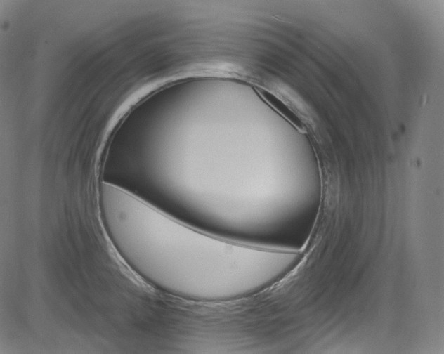 X0000085301192200703091112