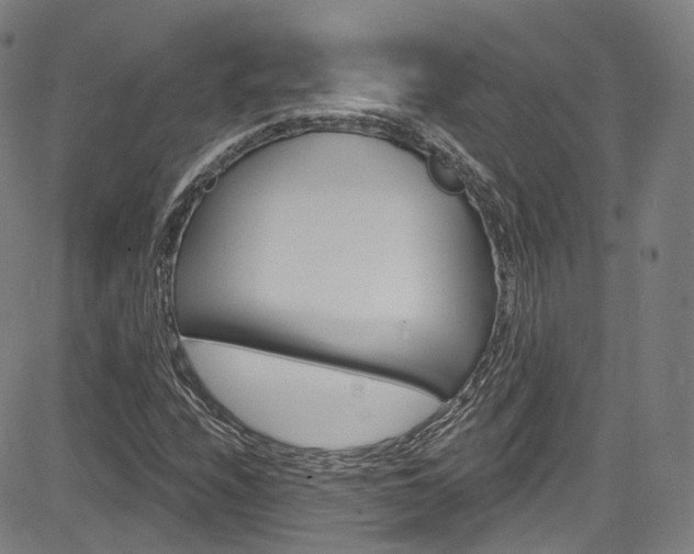 X0000085301208200703091111