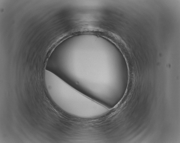 X0000085301217200703091111