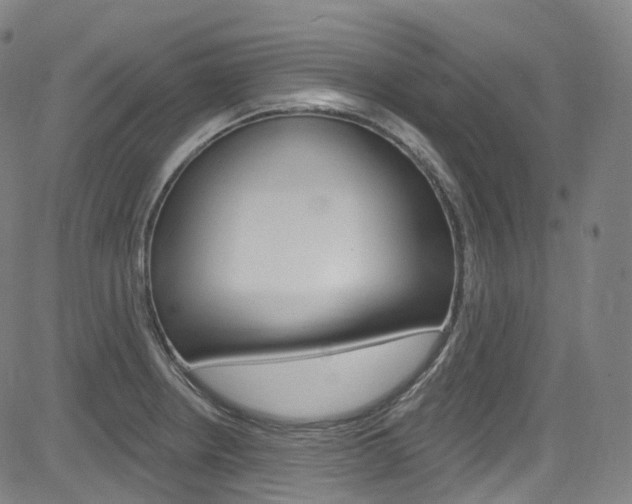 X0000085301234200703091111