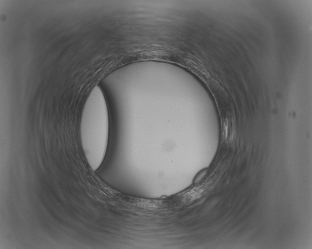 X0000085301251200703091111