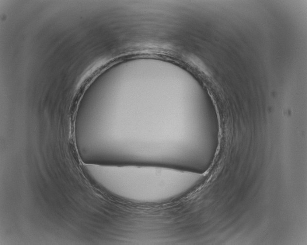 X0000085301267200703091110