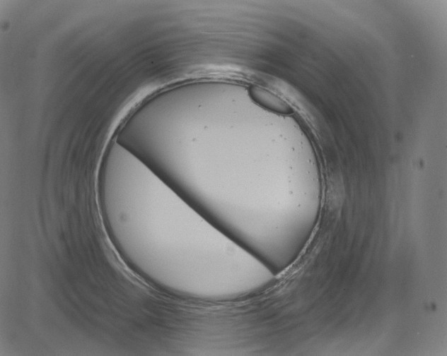 X0000085301283200703091110