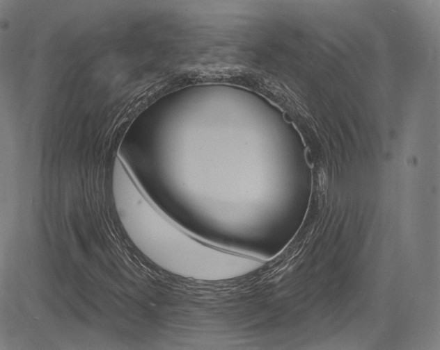 X0000085301300200703091109
