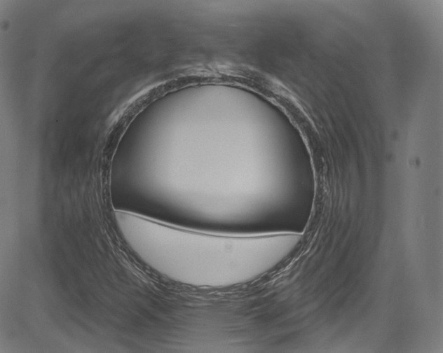 X0000085301304200703091109