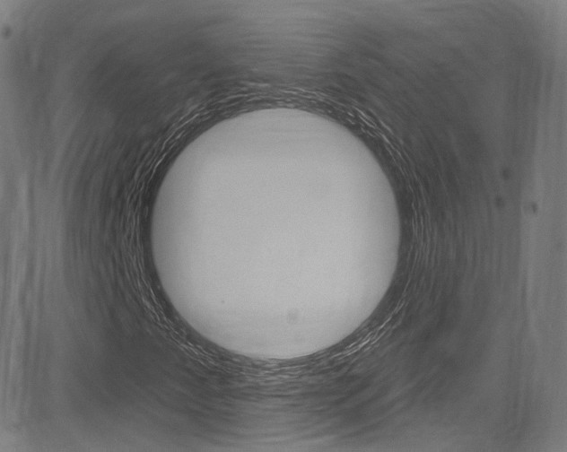 X0000085301345200703091109