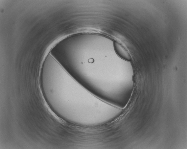 X0000085301379200703091108