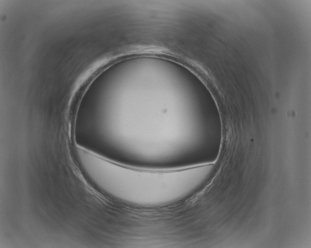 X0000085301414200703091108