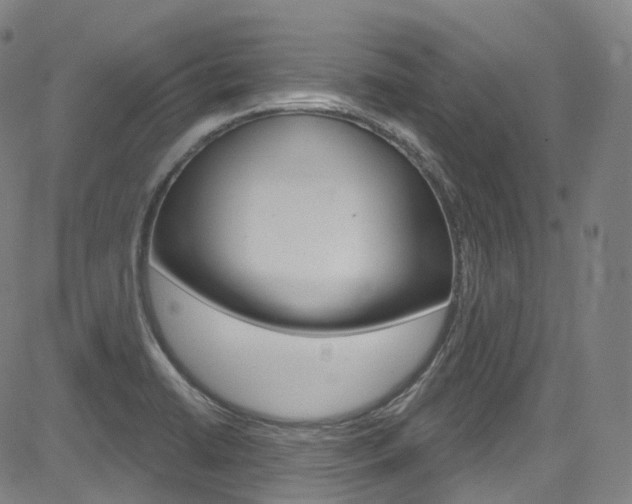 X0000085301422200703091108