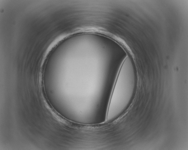 X0000085301424200703091108