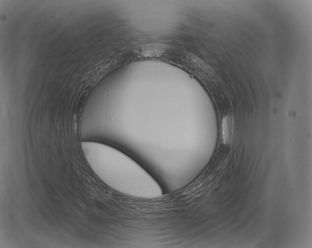 X0000085301443200703091107