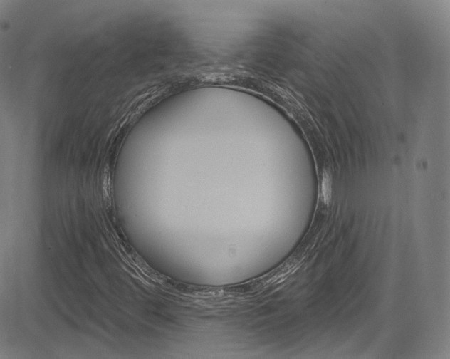 X0000085301444200703091107