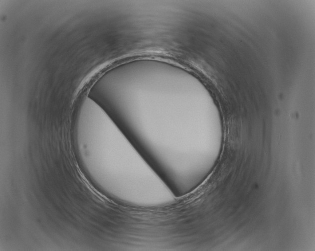 X0000085301452200703091107