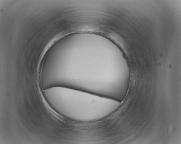 X0000085301475200703091107