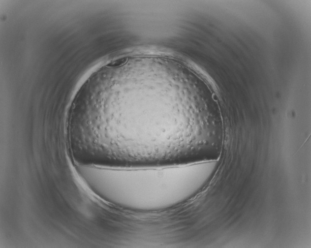 X0000085301483200703091107
