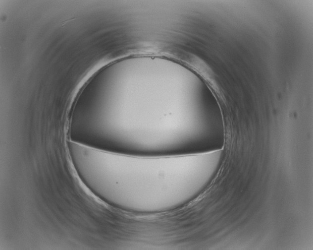 X0000085301484200703091107