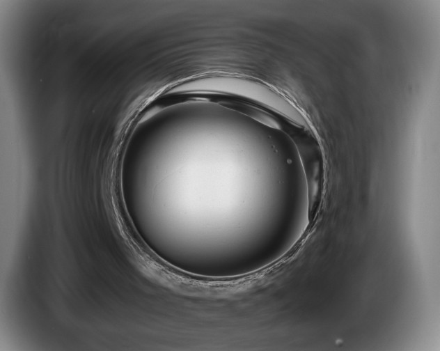 X0000085300001200703091443