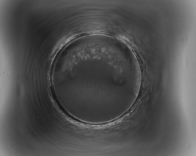 X0000085300002200703091443