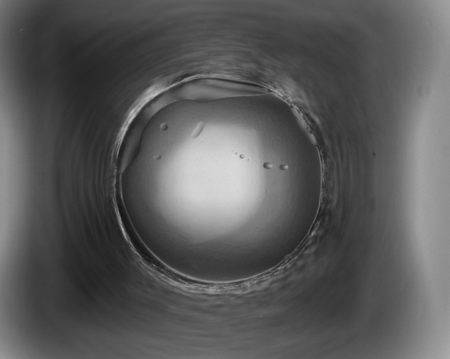 X0000085300003200703091443