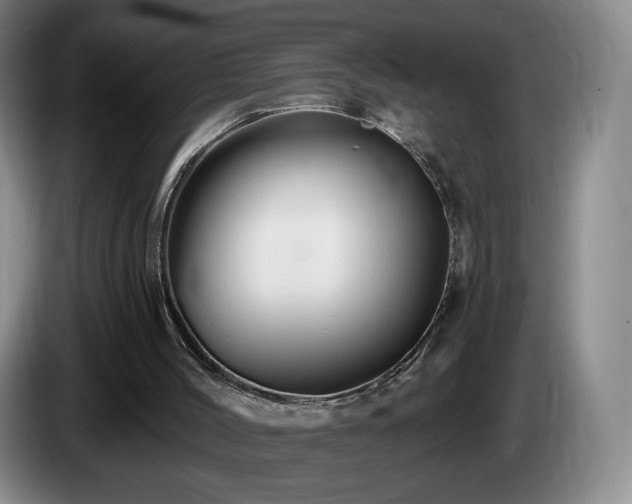 X0000085300004200703091443