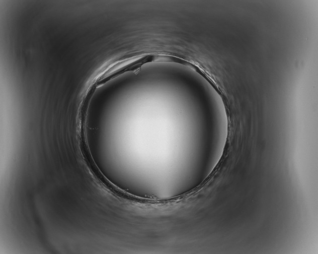 X0000085300005200703091443