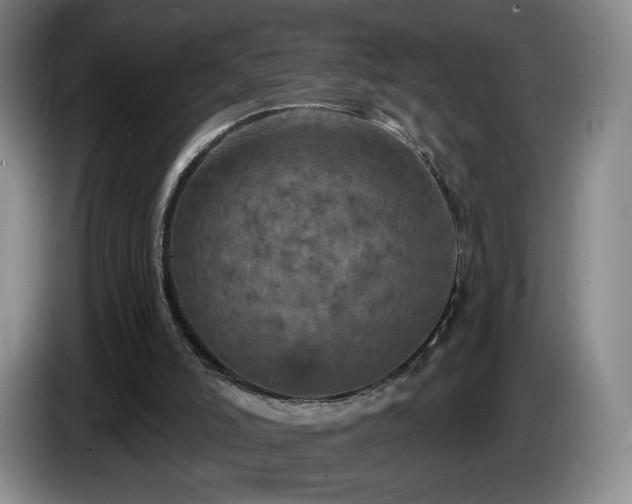 X0000085300006200703091443