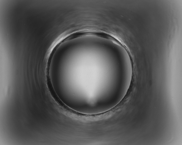 X0000085300007200703091443