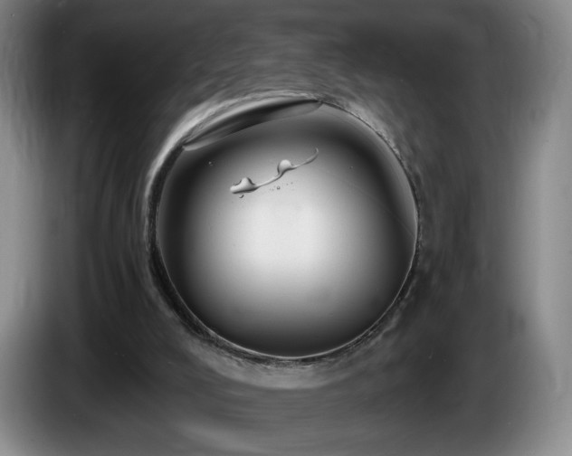 X0000085300008200703091443